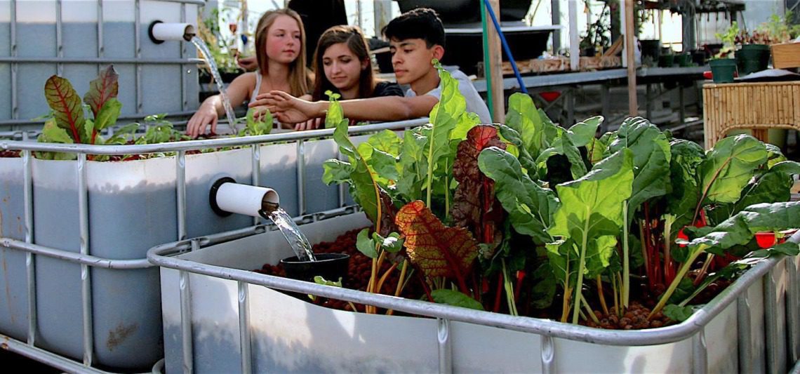 Volunteers in a Garden Project