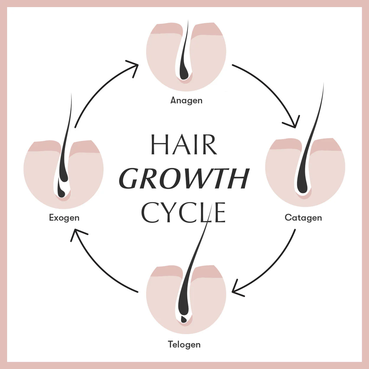 hair growth cycle