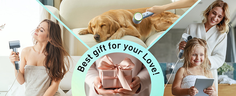 Family & Pet Hair Dryer